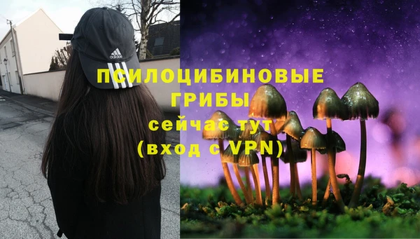 таблы Братск