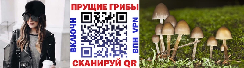 MEGA как зайти  даркнет клад  Белоярский  Псилоцибиновые грибы Magic Shrooms  где купить наркоту 